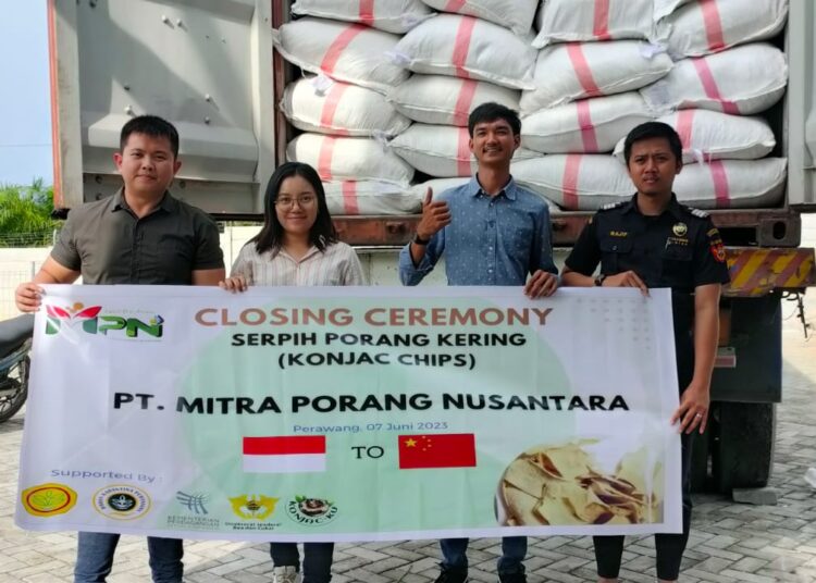 PT Mitra Porang Nusantara Ekspor 75 Ton Porang Kering ke China